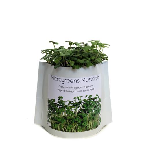 Microverduras em agar-agar